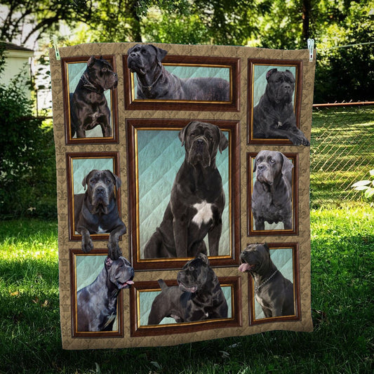 Cane Corso Frame CL09100076MDQ Quilt Blanket
