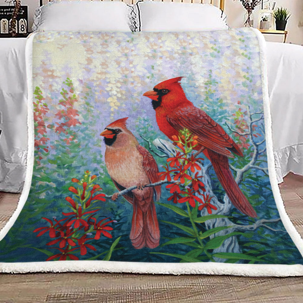 Cardinal TN2609027TT Sherpa Fleece Blanket