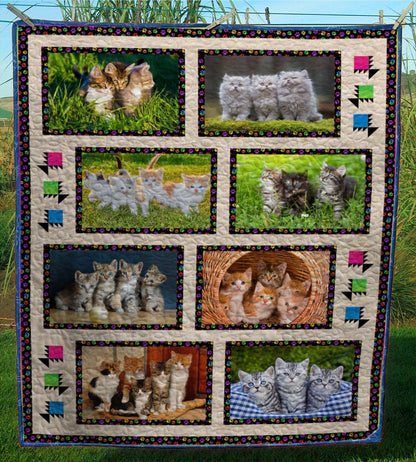 Cat CL24100043MDQ Quilt Blanket