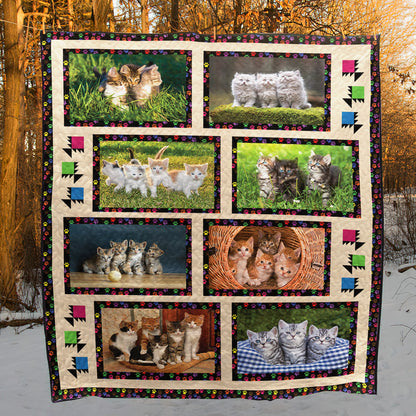 Cat CL24100043MDQ Quilt Blanket