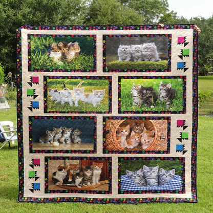 Cat CL24100043MDQ Quilt Blanket