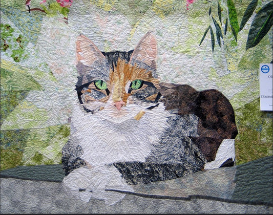 Cat CLA2711195Q Quilt Blanket