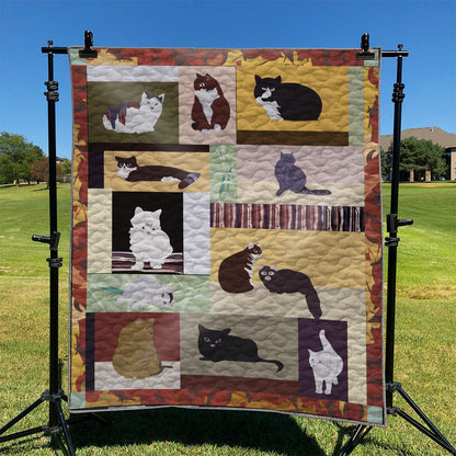 Cat TD2709168 Quilt Blanket