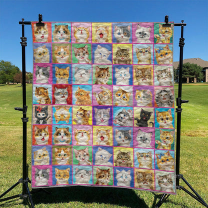 Cat TD2809261 Quilt Blanket