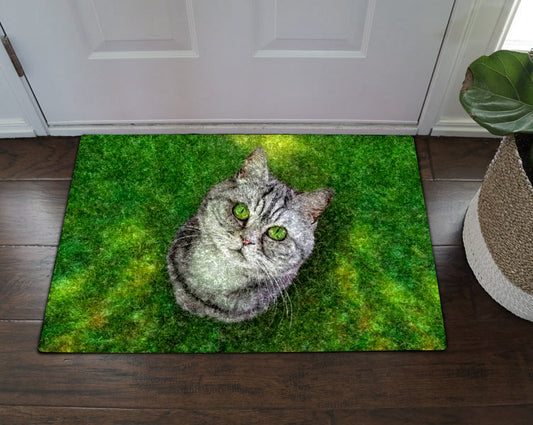 Cat CL070806MDD Non-slip Door mats