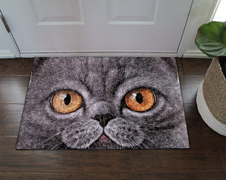 Cat CL070807MDD Non-slip Door mats