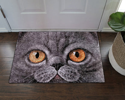 Cat CL070807MDD Non-slip Door mats