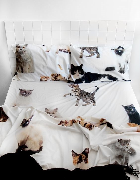 Cat CLM2810114B Bedding Sets