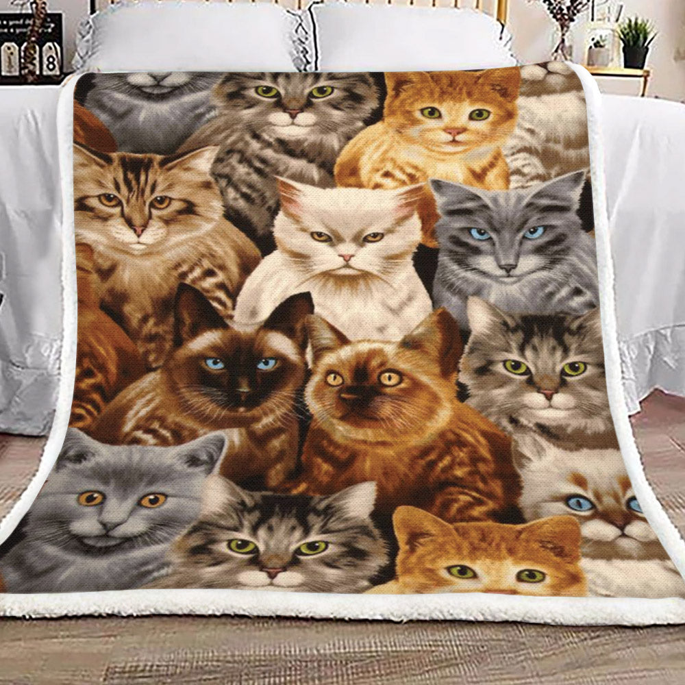 Cat HM0310042TT Sherpa Fleece Blanket