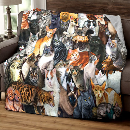 Cat TT290813TT Sherpa Fleece Blanket