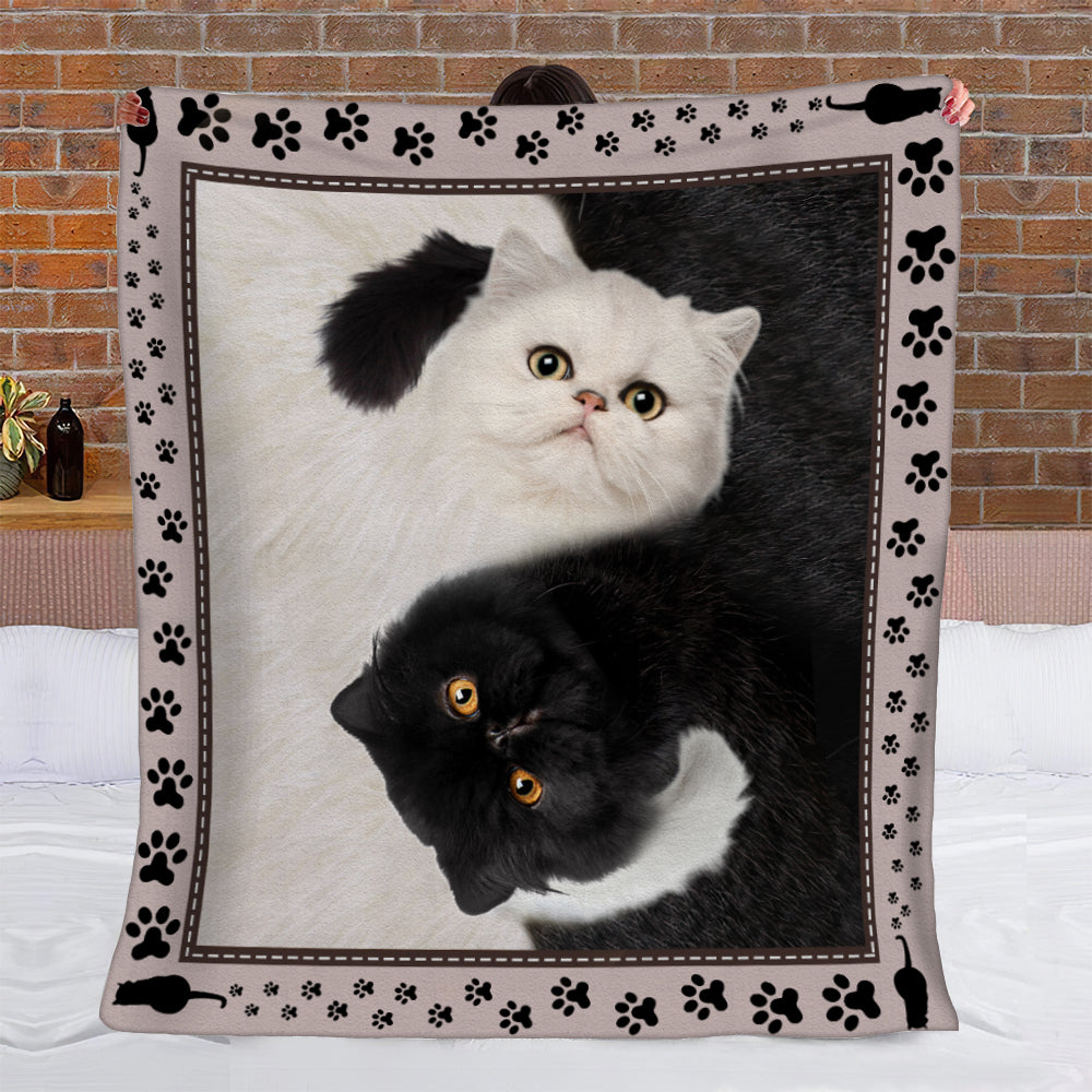 Cats CL11100041MDF Sherpa Fleece Blanket