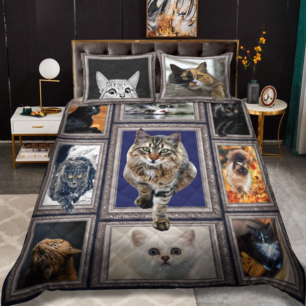 Cats CLM3010110B Quilt Bedding Set