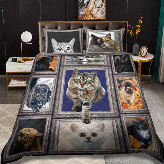 Cats CLM3010110B Quilt Bedding Set