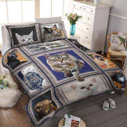 Cats CLM3010110B Quilt Bedding Set