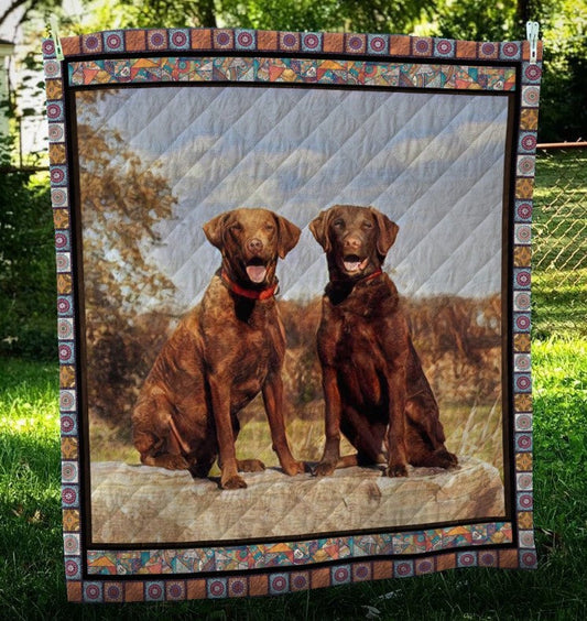 Chesapeake Bay Retriever CL10100090MDQ Quilt Blanket