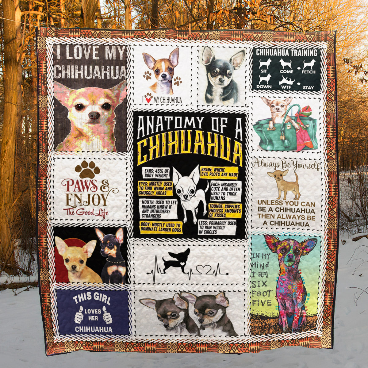 Chihuahua Anatomy CL10100091MDQ Quilt Blanket