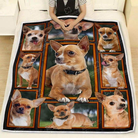 Chihuahua CL05100121MDF Sherpa Fleece Blanket
