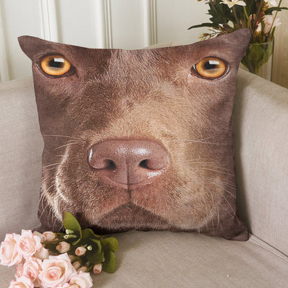 Chocolate Lab Face CLH2110084P Throw Pillow Covers