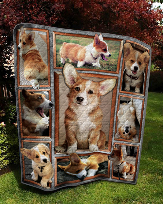 Corgi TD18110089 Quilt Blanket