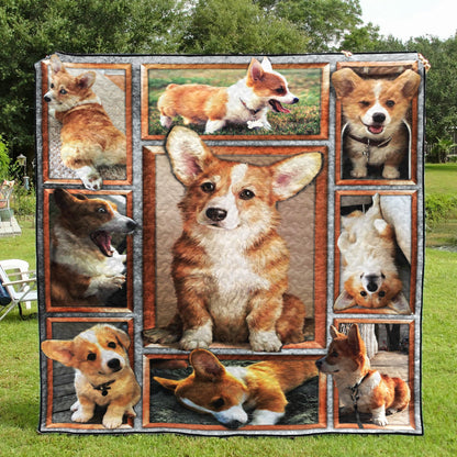 Corgi TD18110089 Quilt Blanket