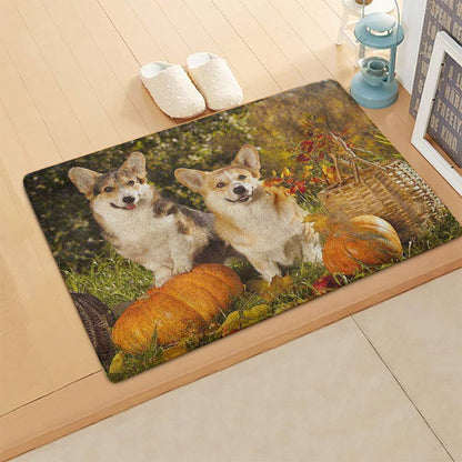 Corgi HN290702 Non-slip Door mats