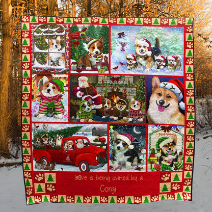 Corgis CL18110690MDQ Quilt Blanket
