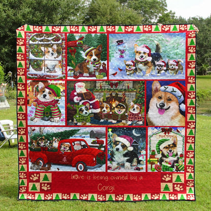 Corgis CL18110690MDQ Quilt Blanket