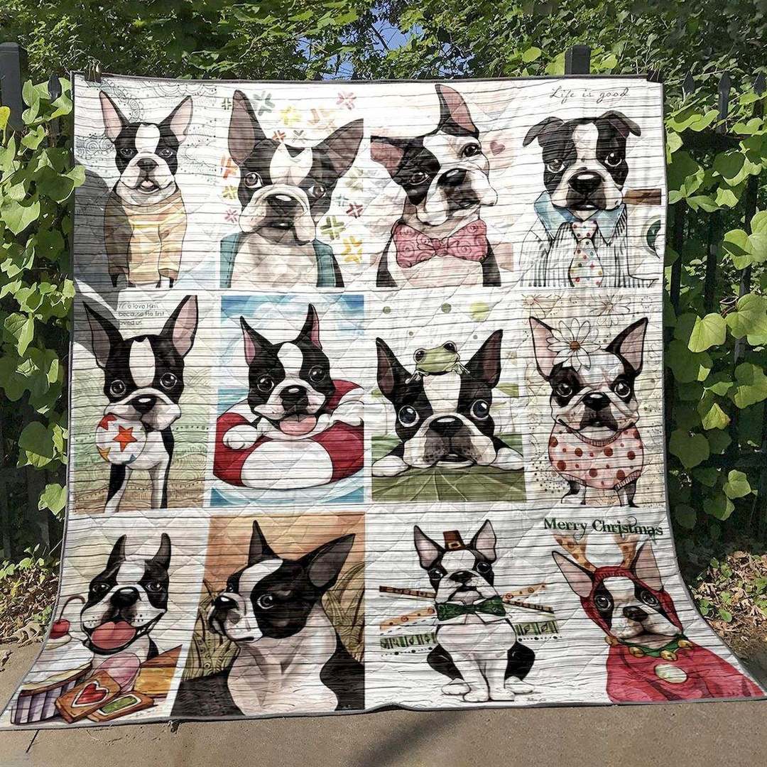 Cute Boston PK270513 Quilt Blanket