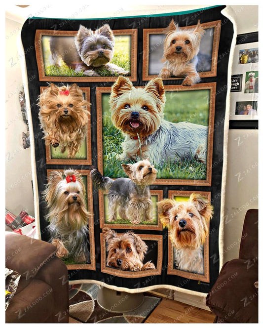 Cute Yorkshire Terrier CL29110192MDF Sherpa Fleece Blanket