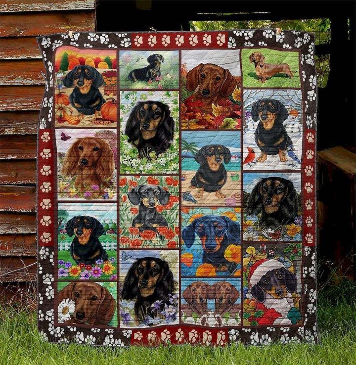 Dachshund 2502025 Quilt Blanket