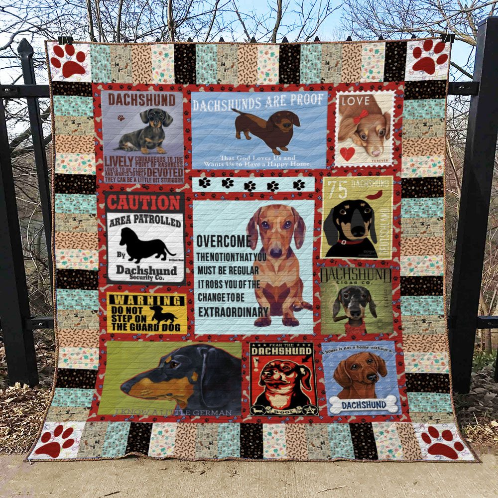 Dachshund BI290704C Quilt Blanket