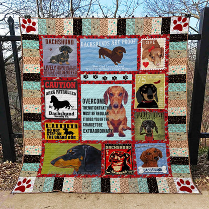 Dachshund BI290704C Quilt Blanket