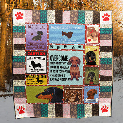 Dachshund BI290704C Quilt Blanket