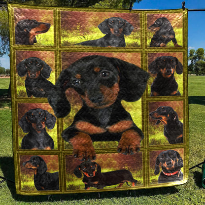 Dachshund CL05100028MDQ Quilt Blanket