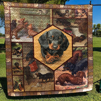 Dachshund Life Of Dachshunds CLA2911189Q Quilt Blanket