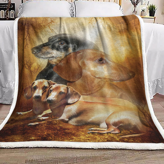 Dachshund DD2210084F Sherpa Fleece Blanket