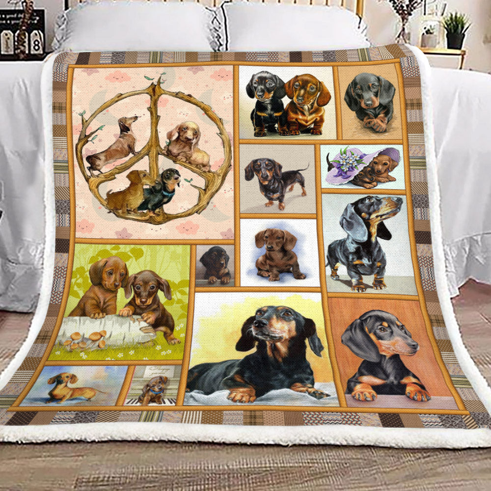 Dachshund YH25100710F Sherpa Fleece Blanket