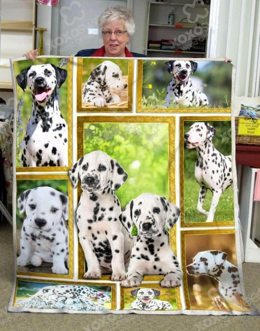 Dalmatian Dog CLM3110113S Sherpa Fleece Blanket