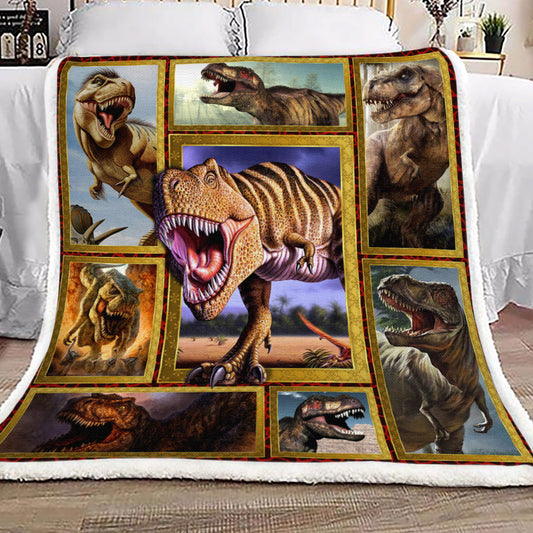 Dinosaur HM1709062TT Sherpa Fleece Blanket