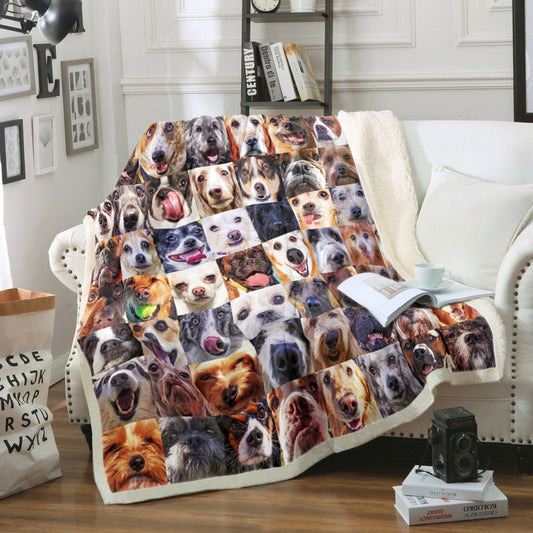 Dog TT0709041TM Sherpa Fleece Blanket