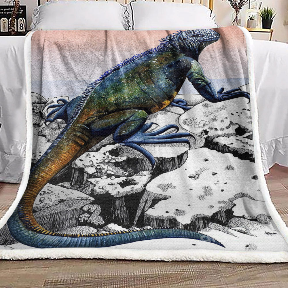 Dragons Of The Enchanted Isles BT200963F Sherpa Fleece Blanket