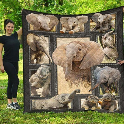 Elephant CL01110113MDQ Quilt Blanket