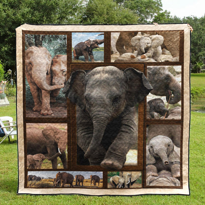 Elephants NG060708B TBG Quilt Blanket