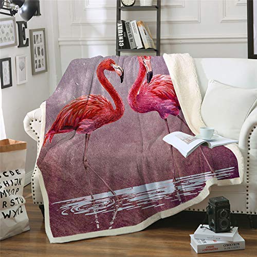 Flamingo CLA1110137F Sherpa Fleece Blanket