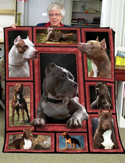 Funny Pitbull CLA31100373Q Quilt Blanket