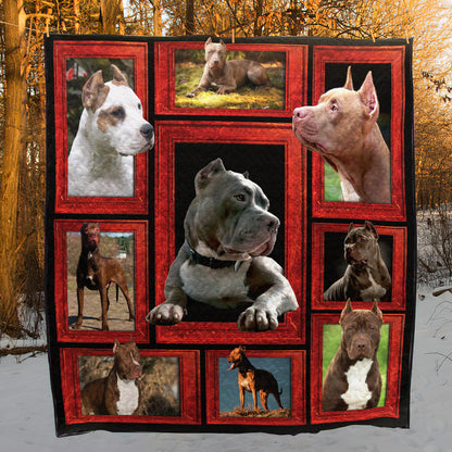 Funny Pitbull CLA31100373Q Quilt Blanket