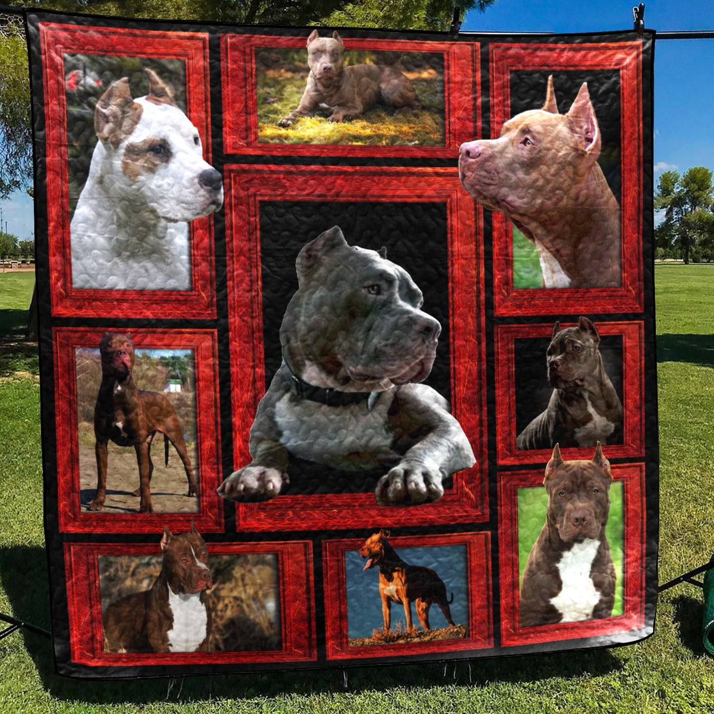 Funny Pitbull CLA31100373Q Quilt Blanket