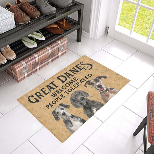 Great Dane CL02110246MDD Non-slip Door mats
