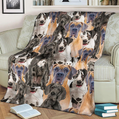 Great Dane CL1208133MD Sherpa Fleece Blanket