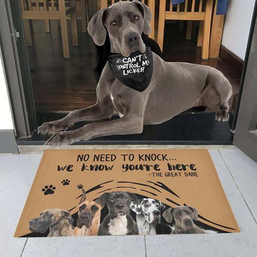 Great Dane We Know Youre Here CLP0111090D Non-slip Door mats